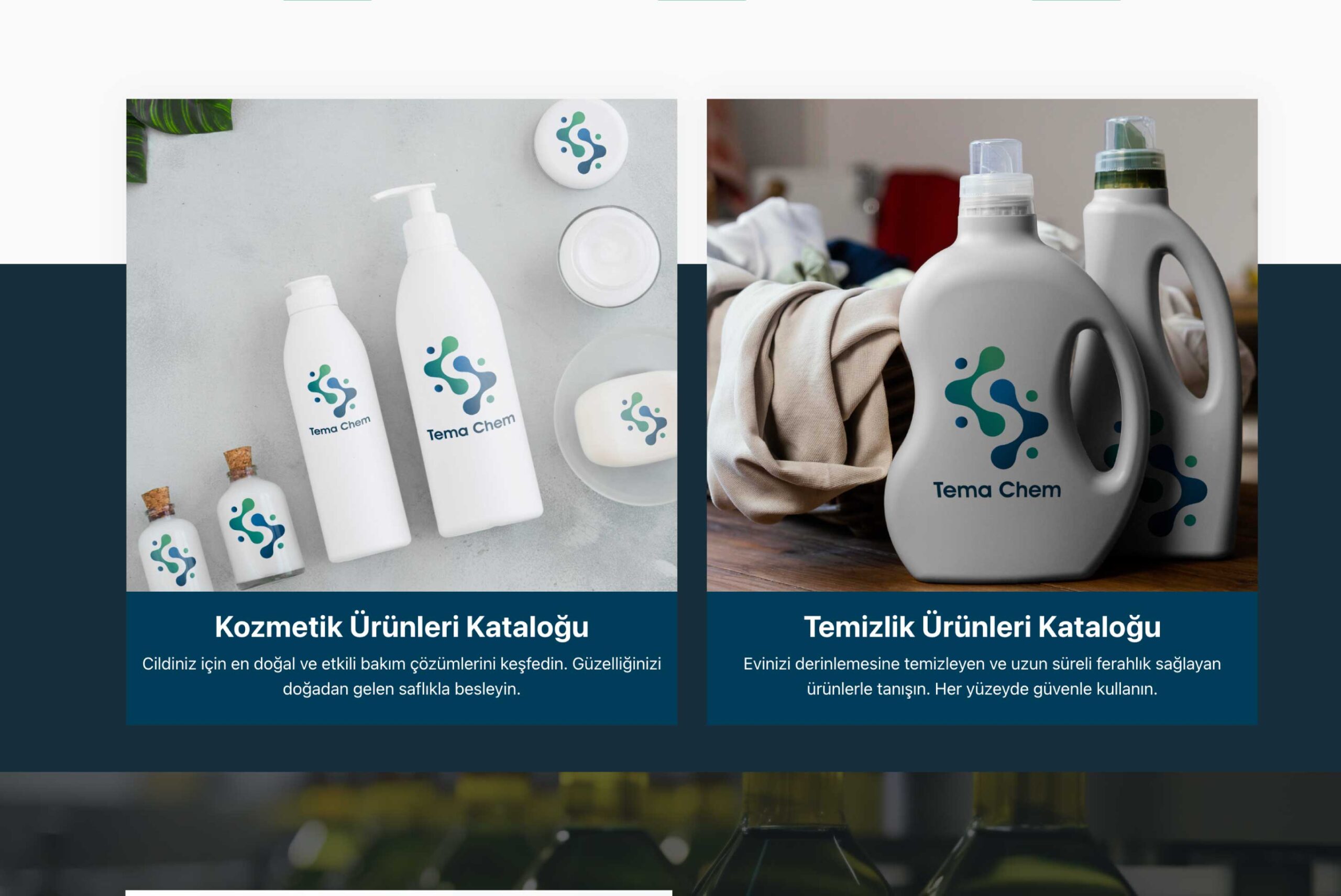 tema-chem-temachem.com-4