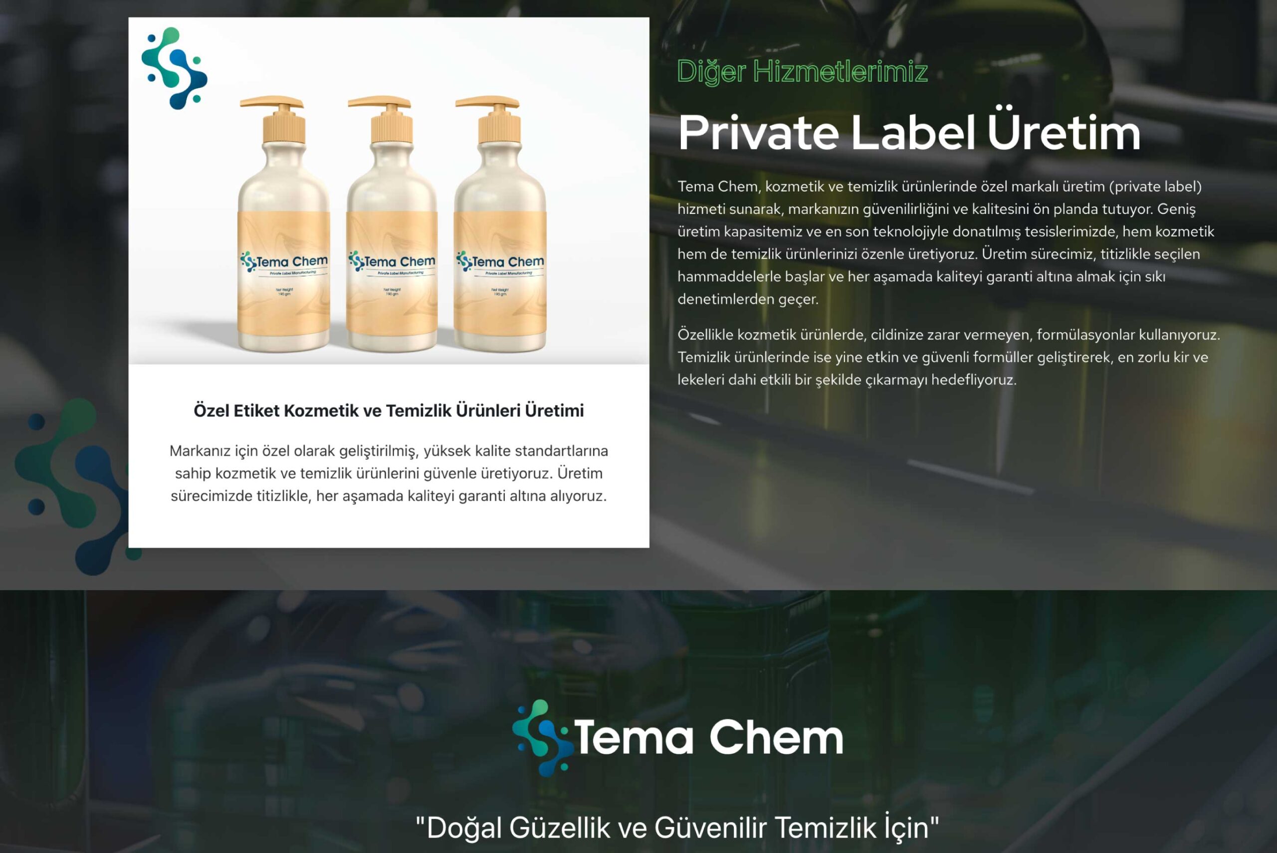 tema-chem-temachem.com-5