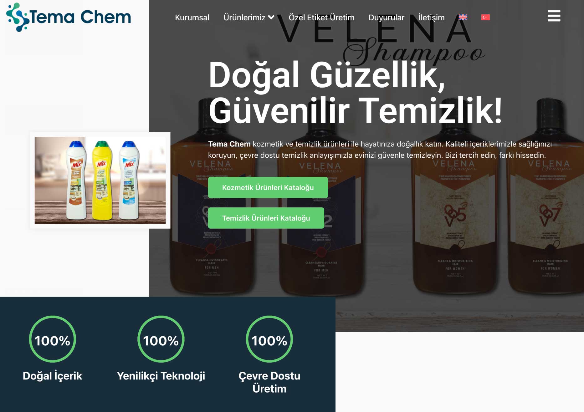 tema-chem-temachem.com